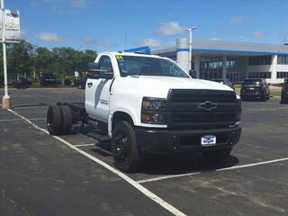 2024 Chevrolet Silverado 1500 for sale in Rockford IL