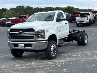 2024 Chevrolet Silverado 1500 for sale in Linn MO