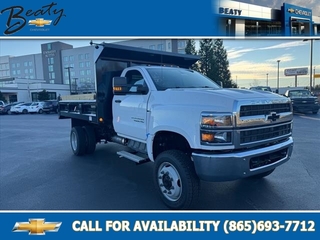 2024 Chevrolet Silverado 1500 for sale in Knoxville TN