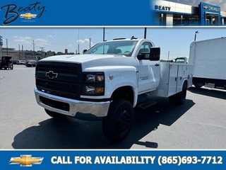 2024 Chevrolet Silverado 1500 for sale in Knoxville TN