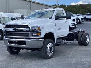 2024 Chevrolet Silverado 1500 for sale in Linn MO