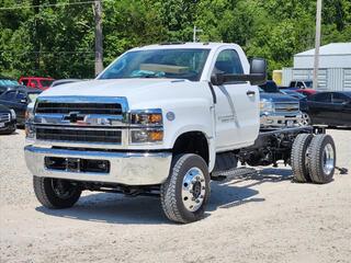 2024 Chevrolet Silverado 1500 for sale in Linn MO