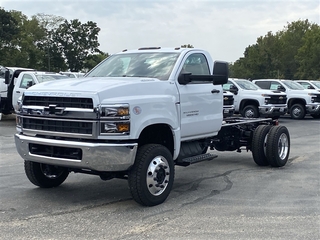 2024 Chevrolet Silverado 1500 for sale in Linn MO