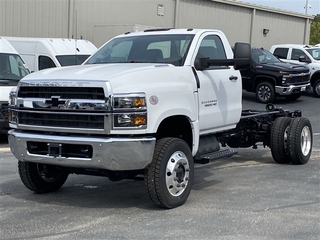 2024 Chevrolet Silverado 1500 for sale in Linn MO