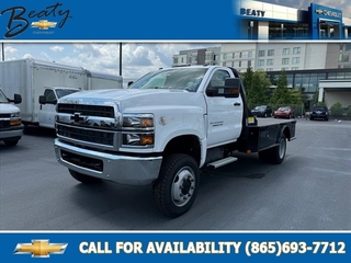 2024 Chevrolet Silverado 1500 for sale in Knoxville TN