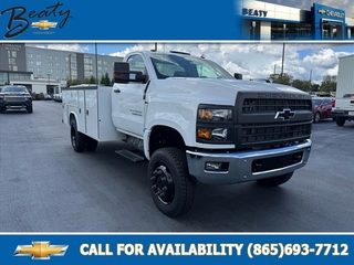 2024 Chevrolet Silverado 4500HD for sale in Knoxville TN