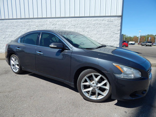 2009 Nissan Maxima for sale in Clarksville TN