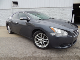 2010 Nissan Maxima for sale in Clarksville TN