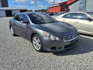 2014 Nissan Maxima for sale in Guthrie KY