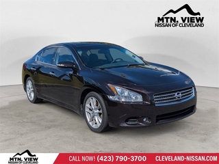 2010 Nissan Maxima for sale in Mcdonald TN