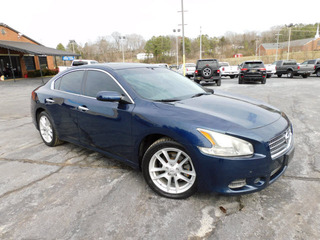 2011 Nissan Maxima for sale in Clarksville TN