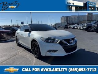 2017 Nissan Maxima for sale in Knoxville TN