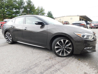 2016 Nissan Maxima for sale in Clarksville TN