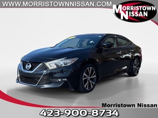 2018 Nissan Maxima for sale in Morristown TN