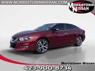 2016 Nissan Maxima for sale in Morristown TN