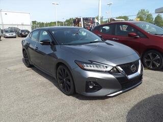 2019 Nissan Maxima for sale in Clarksville TN