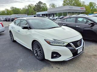 2019 Nissan Maxima for sale in Pine Bluff AR