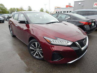 2019 Nissan Maxima for sale in Clarksville TN