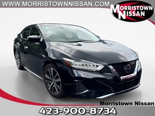 2019 Nissan Maxima