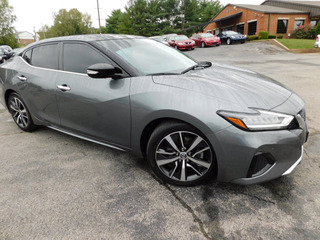 2019 Nissan Maxima for sale in Clarksville TN