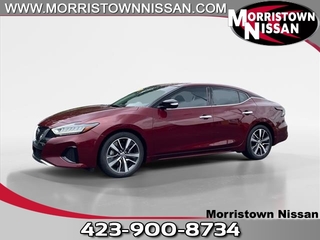 2019 Nissan Maxima for sale in Morristown TN