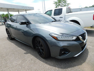 2019 Nissan Maxima for sale in Clarksville TN