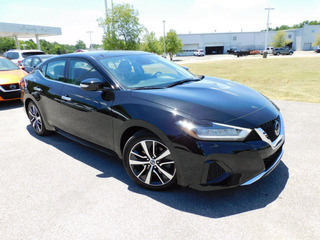 2020 Nissan Maxima for sale in Clarksville TN