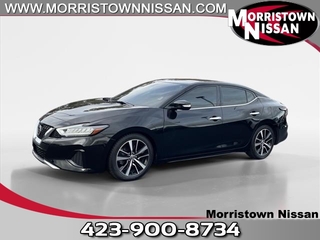 2021 Nissan Maxima for sale in Morristown TN