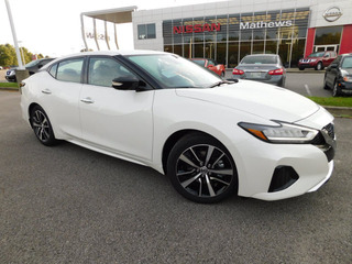 2021 Nissan Maxima for sale in Clarksville TN