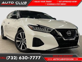 2023 Nissan Maxima for sale in Woodbridge NJ