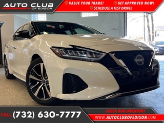 2023 Nissan Maxima