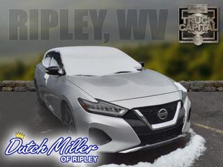 2022 Nissan Maxima for sale in Ripley WV