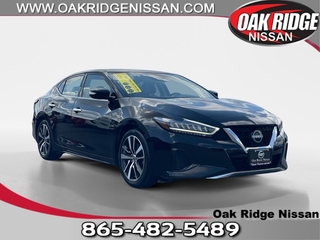 2023 Nissan Maxima for sale in Oak Ridge TN