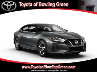 2023 Nissan Maxima for sale in Bowling Green KY