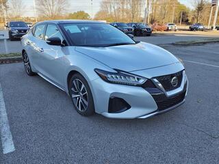 2020 Nissan Maxima for sale in Clarksville TN