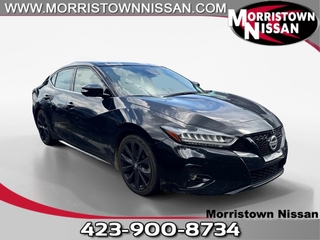 2022 Nissan Maxima for sale in Morristown TN