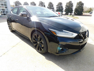 2021 Nissan Maxima for sale in Clarksville TN