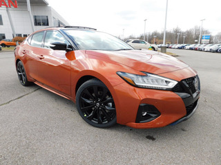 2021 Nissan Maxima for sale in Clarksville TN