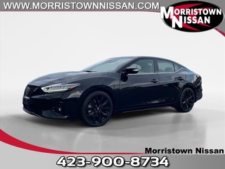 2021 Nissan Maxima for sale in Morristown TN