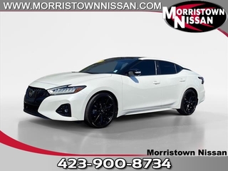 2021 Nissan Maxima for sale in Morristown TN