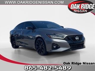 2023 Nissan Maxima for sale in Oak Ridge TN