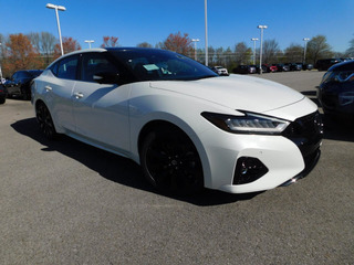 2021 Nissan Maxima for sale in Clarksville TN