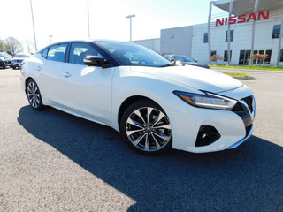 2021 Nissan Maxima for sale in Clarksville TN