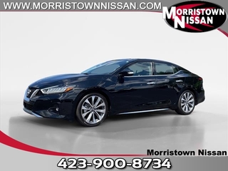 2023 Nissan Maxima for sale in Morristown TN