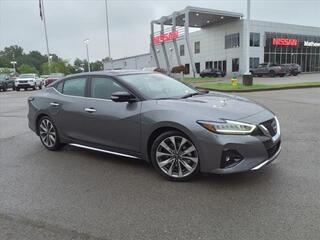 2023 Nissan Maxima for sale in Clarksville TN