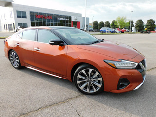 2022 Nissan Maxima for sale in Clarksville TN