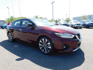 2021 Nissan Maxima for sale in Clarksville TN