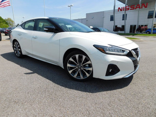 2021 Nissan Maxima for sale in Clarksville TN