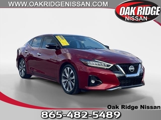 2023 Nissan Maxima for sale in Oak Ridge TN