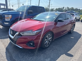 2023 Nissan Maxima for sale in Knoxville TN